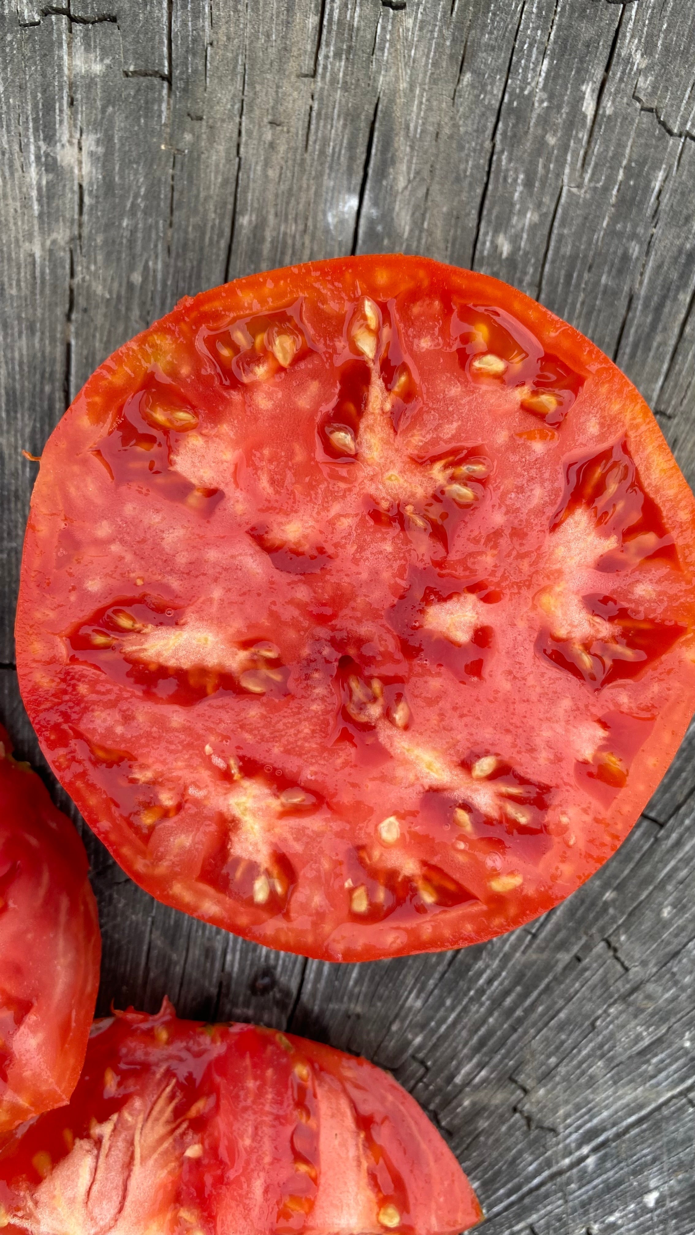Le guide pour être un pro de la tomate