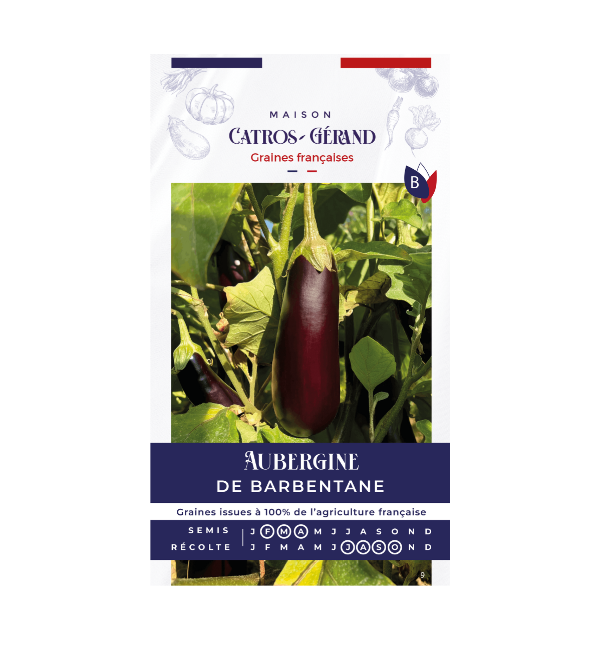 Aubergine de Barbentane
