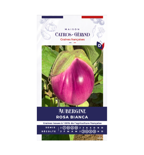 Aubergine Rosa Bianca