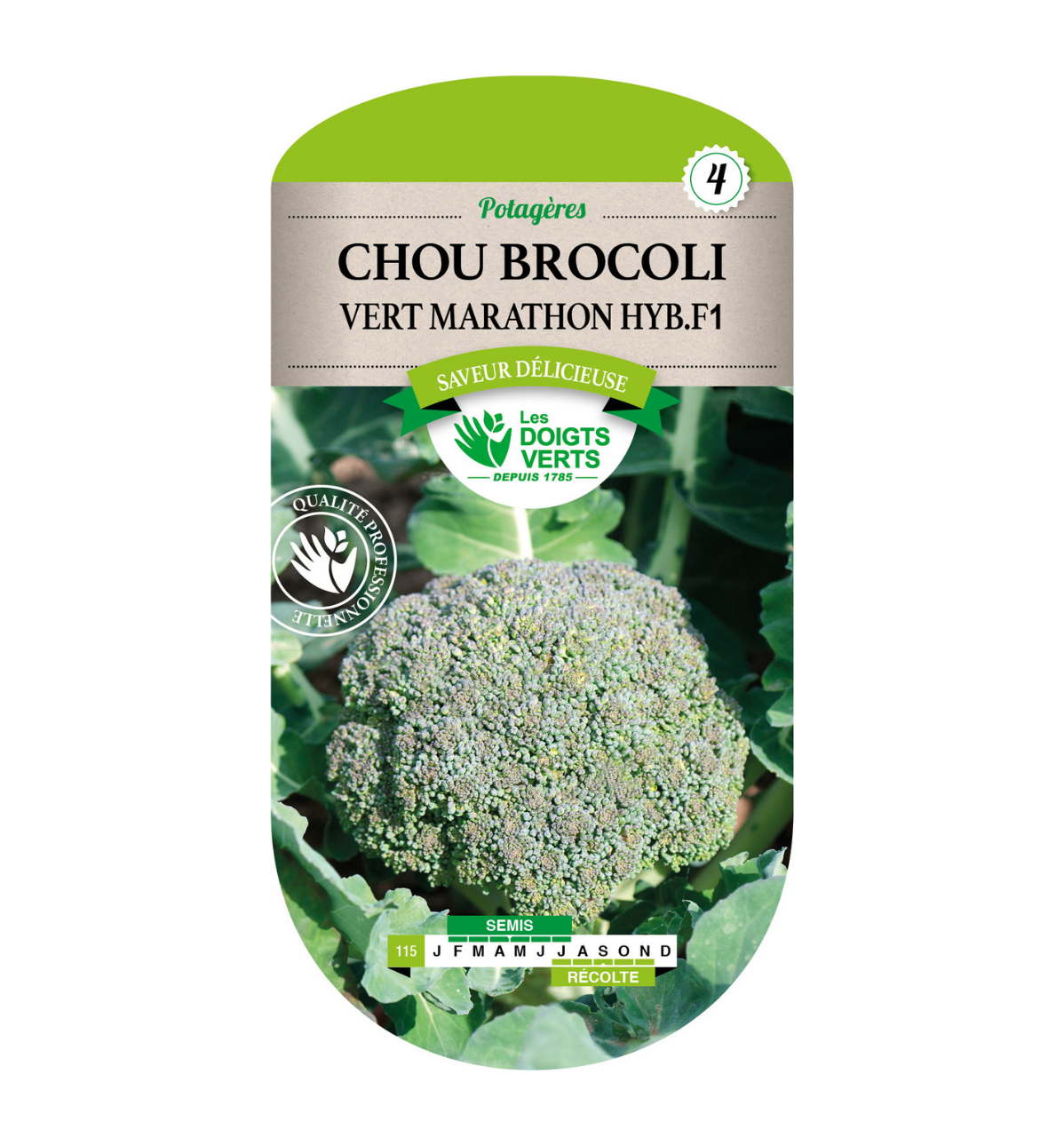 Chou Brocoli vert Marathon hybride